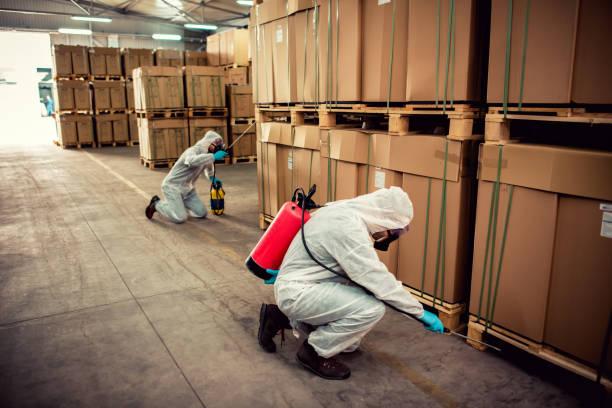 Pest Prevention Services in Bemiss, GA