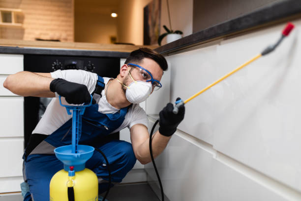 Best Pest Control Near Me  in Bemiss, GA