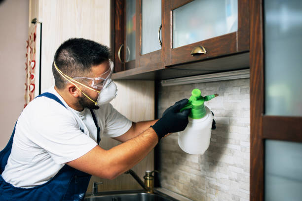 Best Best Pest Control Companies  in Bemiss, GA