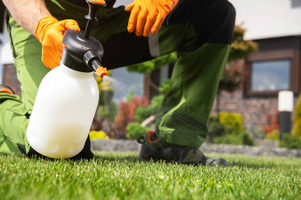 Best Bed Bug Extermination  in Bemiss, GA