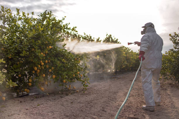 Best Best Pest Control Companies  in Bemiss, GA