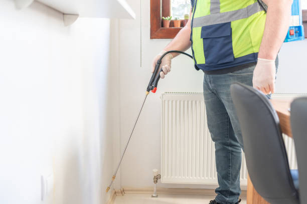 Best Termite Control Services  in Bemiss, GA