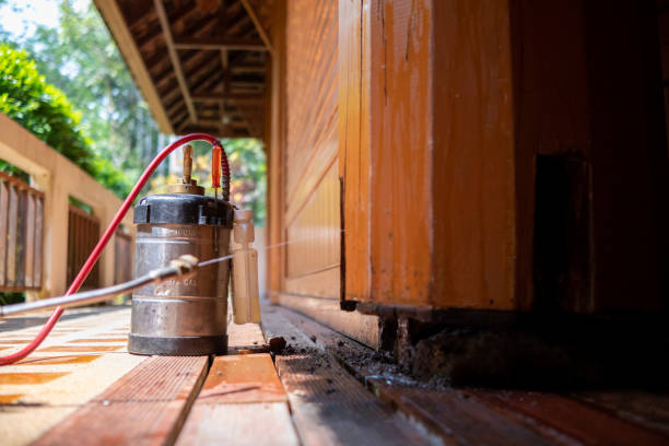Reliable Bemiss, GA Pest Control Solutions