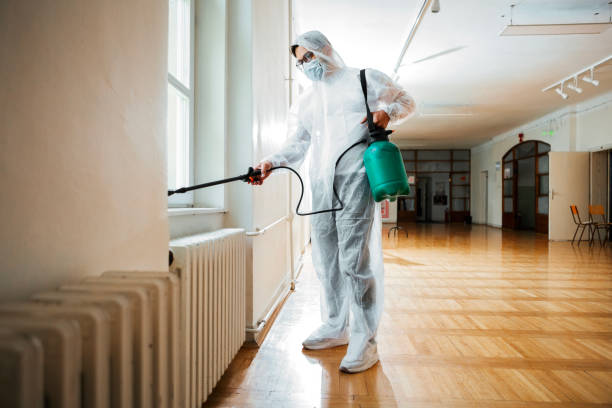 Best Flea Control Services  in Bemiss, GA